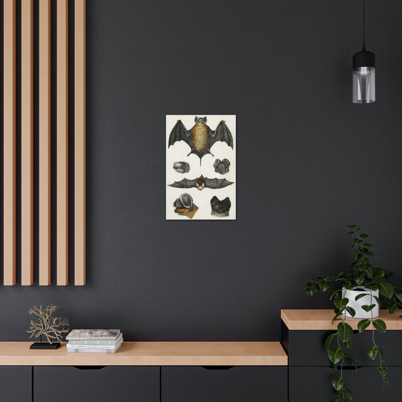 Various Bats Illustration Canvas Gallery Wraps-Canvas-Printify-PaxtonGate