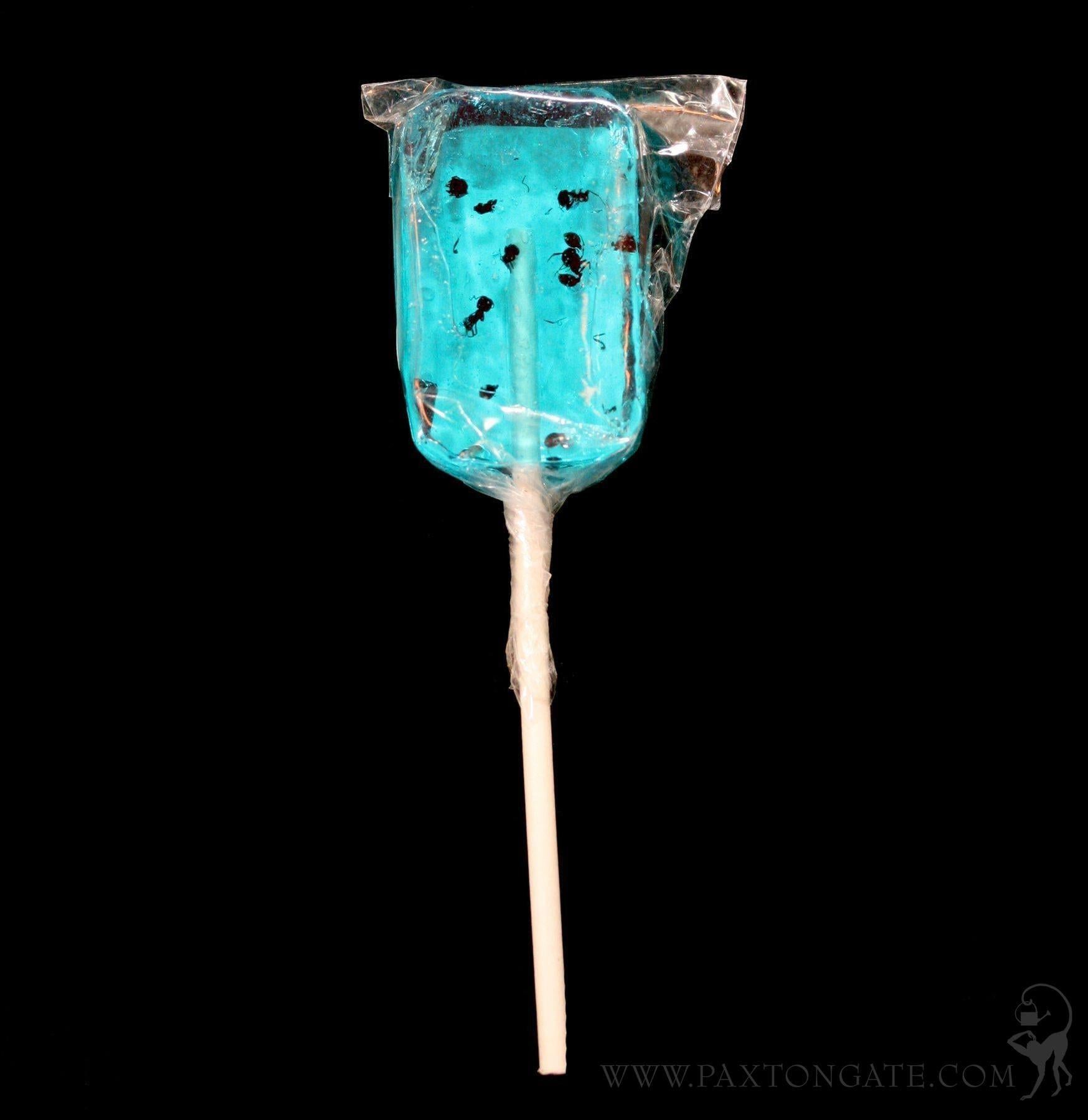 Ant Sucker For Sale | Paxton Gate