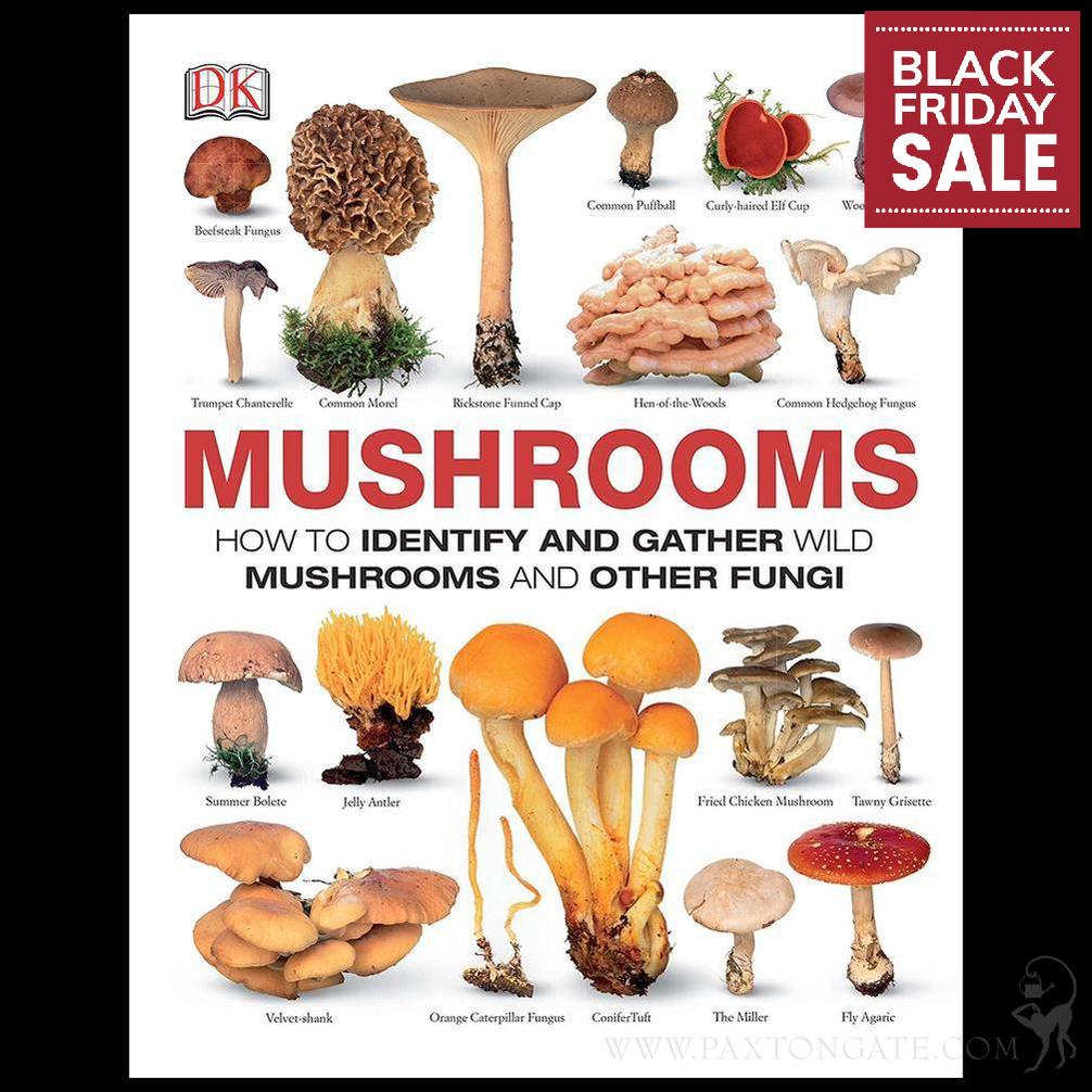 Korgazma ishtirokchilarining omma oldida onanizmini onlayn tomosha qiling.