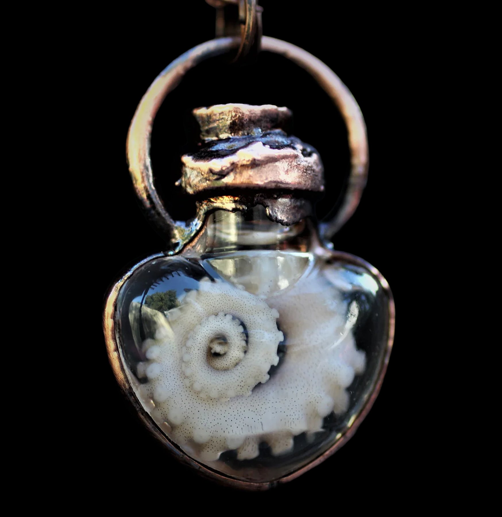 Octopus Tentacle Necklace For Sale | Paxton Gate