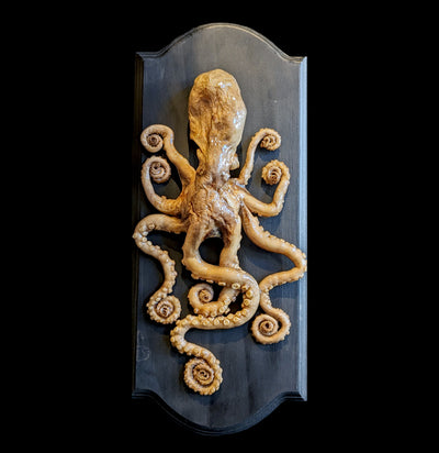 Large Octopus Mount-Taxidermy-Scientific Woman-PaxtonGate