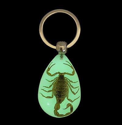 Black Scorpion Keychain-Insects-Real Insect Company-PaxtonGate