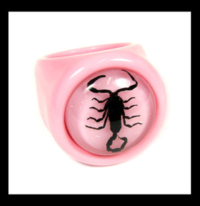 Scorpion Ring-Toys-Real Bug Company-PaxtonGate