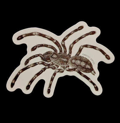 Tarantula Spider Sticker-Stickers-Cognitive Surplus-PaxtonGate