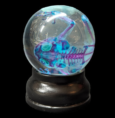 Diaphonized Cane Toad Globe-WetSpecimn-Articulated Imagination-PaxtonGate