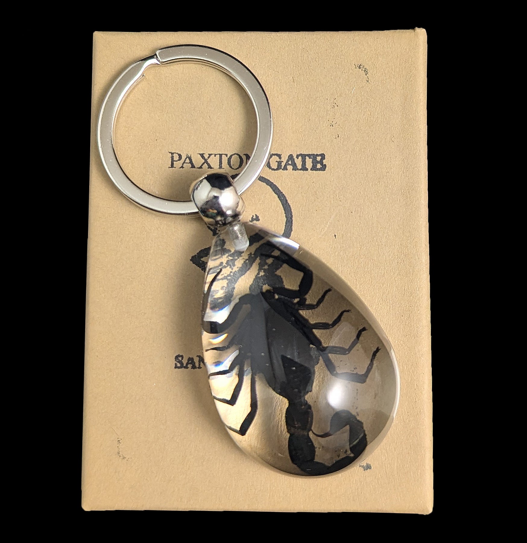 Black Scorpion Clear Teardrop Keychain For Sale | Paxton Gate