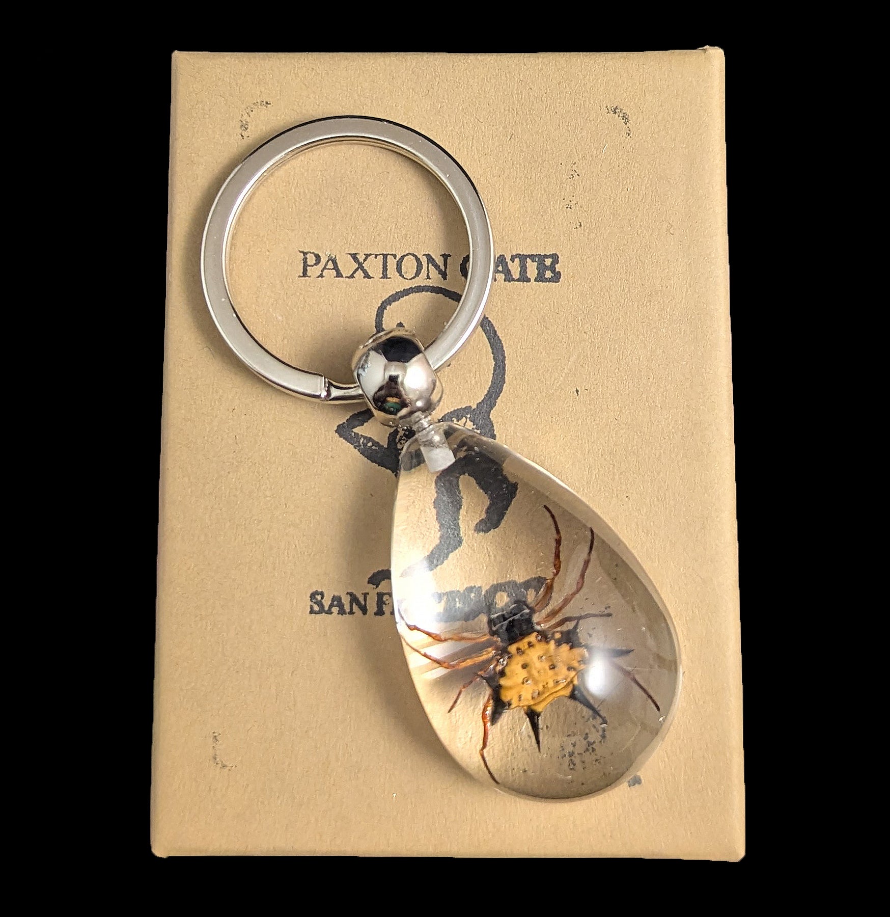 Spiny Spider Keychain For Sale | Paxton Gate