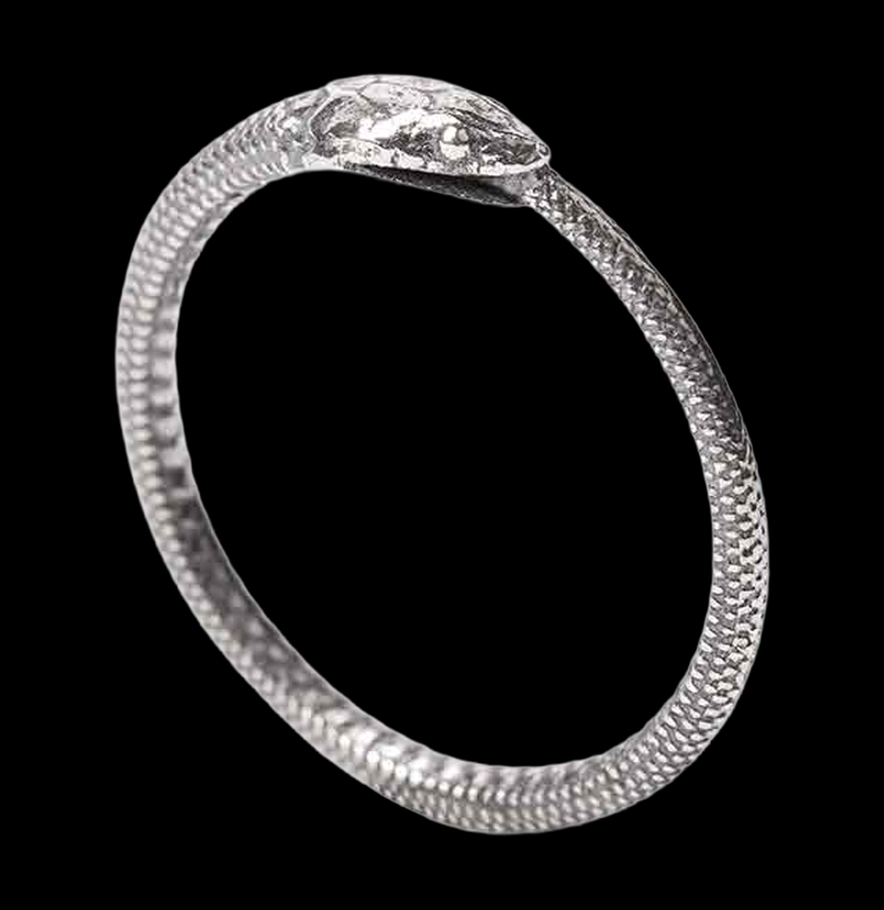 Ouroboros Snake Ring Sterling Silver For Sale | Paxton Gate