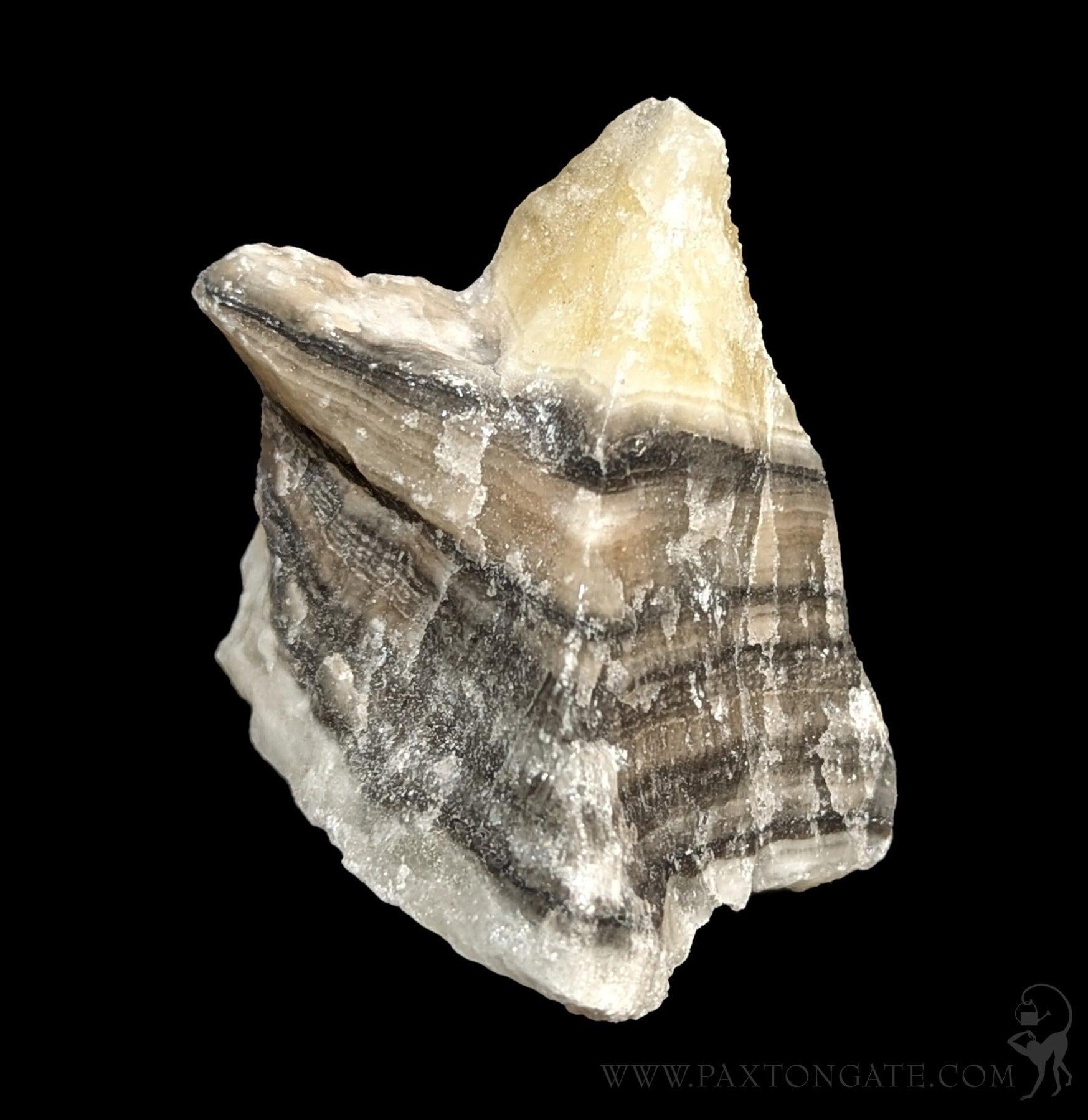 Zebra Calcite Crystal For Sale | Paxton Gate
