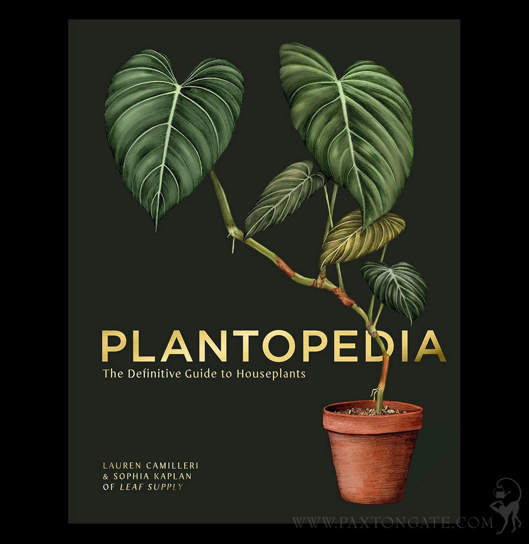Plantopedia: The Definitive Guide to Houseplants For Sale | Paxton