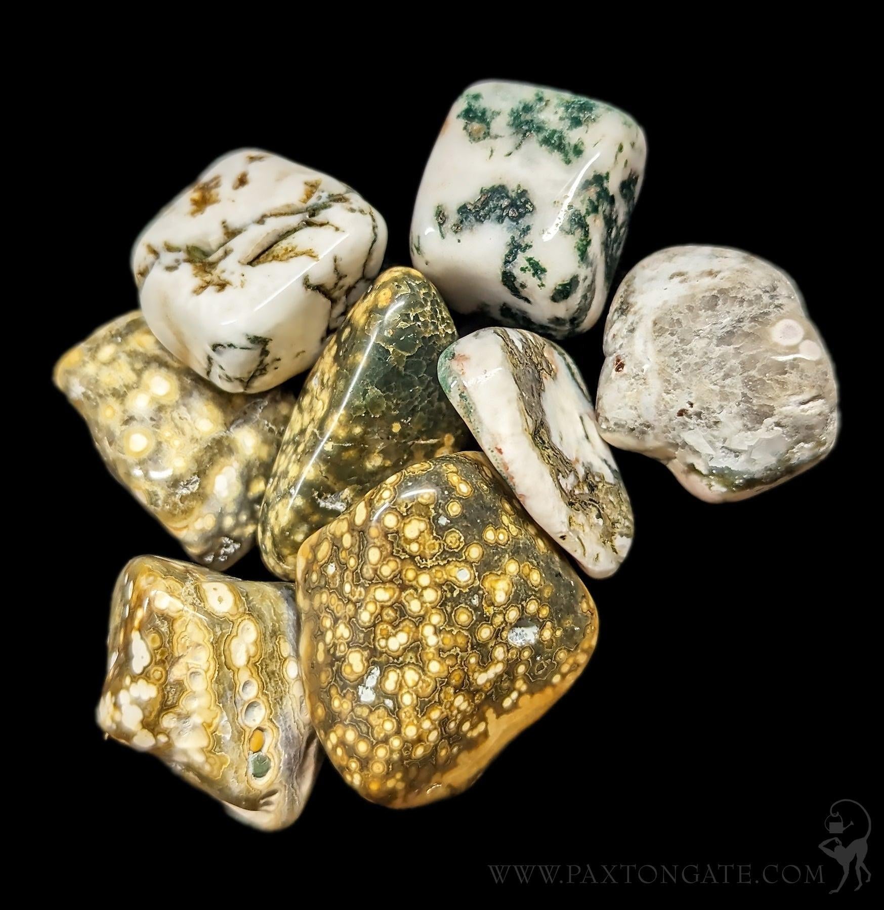 Tumbled Ocean Jasper Stone For Sale | Paxton Gate
