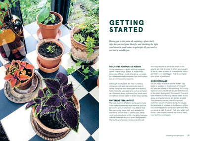 Green Home: The joy of Living With Plants - Paxton Gate