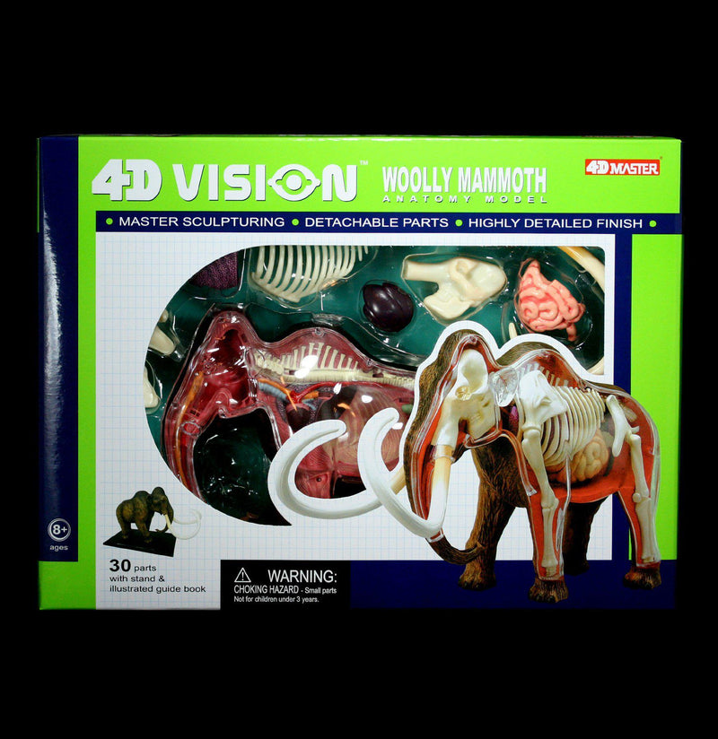4D Woolly Mammoth Model - Paxton Gate
