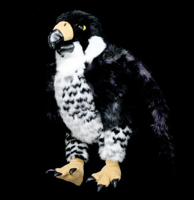 Peregrine Falcon Puppet - Paxton Gate