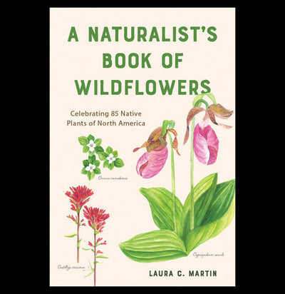 A Naturalist's Book of Wildflowers - Paxton Gate