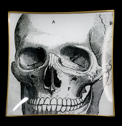 Decoupage Glass Skull Tray - Paxton Gate