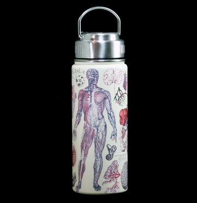 Anatomy Stainless Steel Vacuum Flask - Paxton Gate