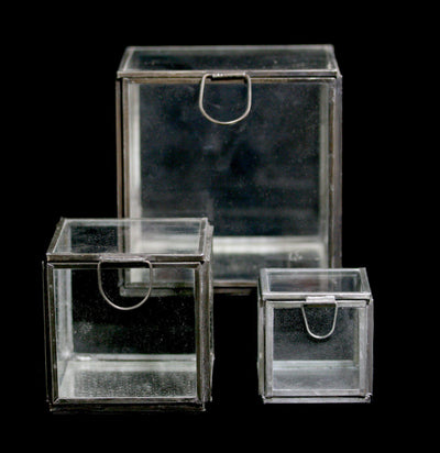 Pierre Demi Glass Box - Paxton Gate