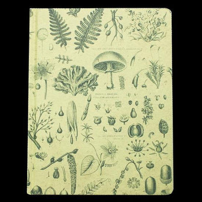 Plants and Fungi Hardcover Notebook - Paxton Gate