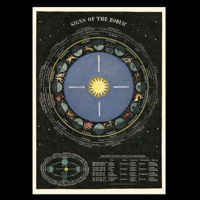 Zodiac Chart Poster Wrap - Paxton Gate