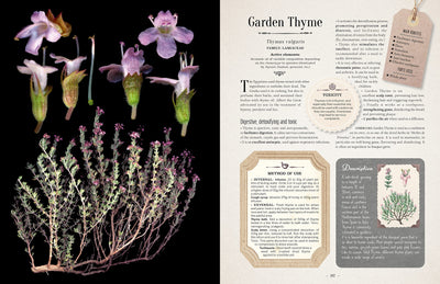 100 Plants That Heal Book - Paxton Gate