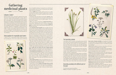 100 Plants That Heal Book - Paxton Gate