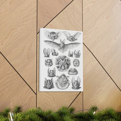 "Chiroptera Fledertiere" By Ernst Haeckel Canvas Gallery Wraps-Canvas-Printify-PaxtonGate