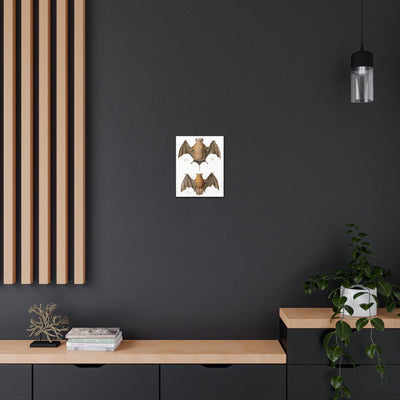 Free Tailed Bats Illustration Canvas Gallery Wraps-Canvas-Printify-PaxtonGate