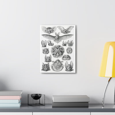 "Chiroptera Fledertiere" By Ernst Haeckel Canvas Gallery Wraps-Canvas-Printify-PaxtonGate