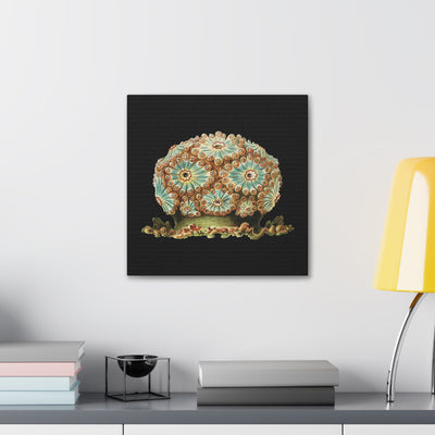 Vintage Tunicate Illustration By Ernst Haeckel Canvas Gallery Wraps-Canvas-Printify-PaxtonGate