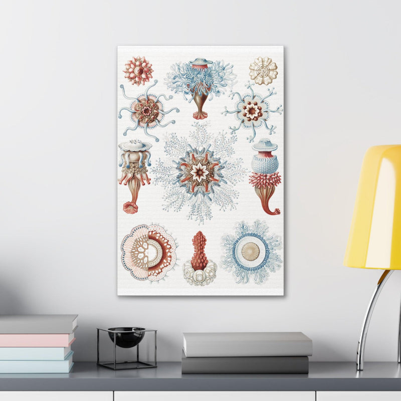 "Siphonophorae Staatsquallen" By Ernst Haeckel Canvas Gallery Wraps-Canvas-Printify-PaxtonGate