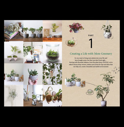 A Beginners Guide to House Plants-Books-Ingram Book Company-PaxtonGate