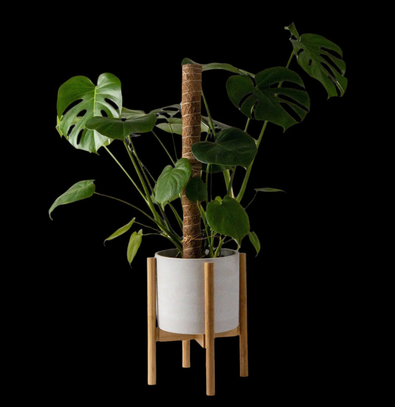 bamboo plant stands indoor Bamboo Plant Stand