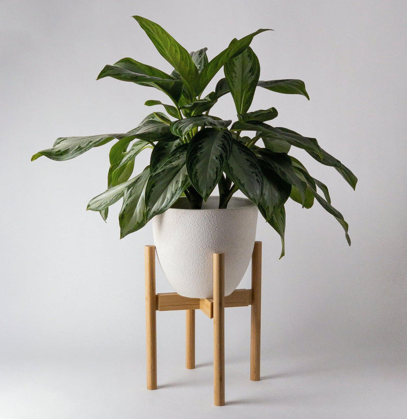 Adjustable Bamboo Plant Stand-Pots&Mntg-Kanso Designs-PaxtonGate