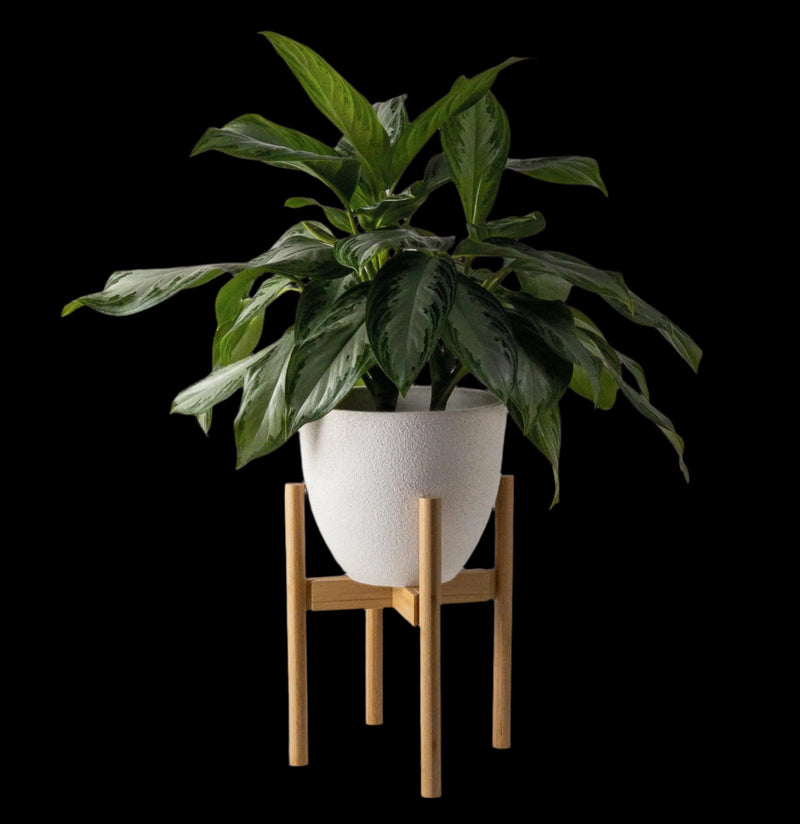 bamboo plant hanger Bamboo Plant Stand