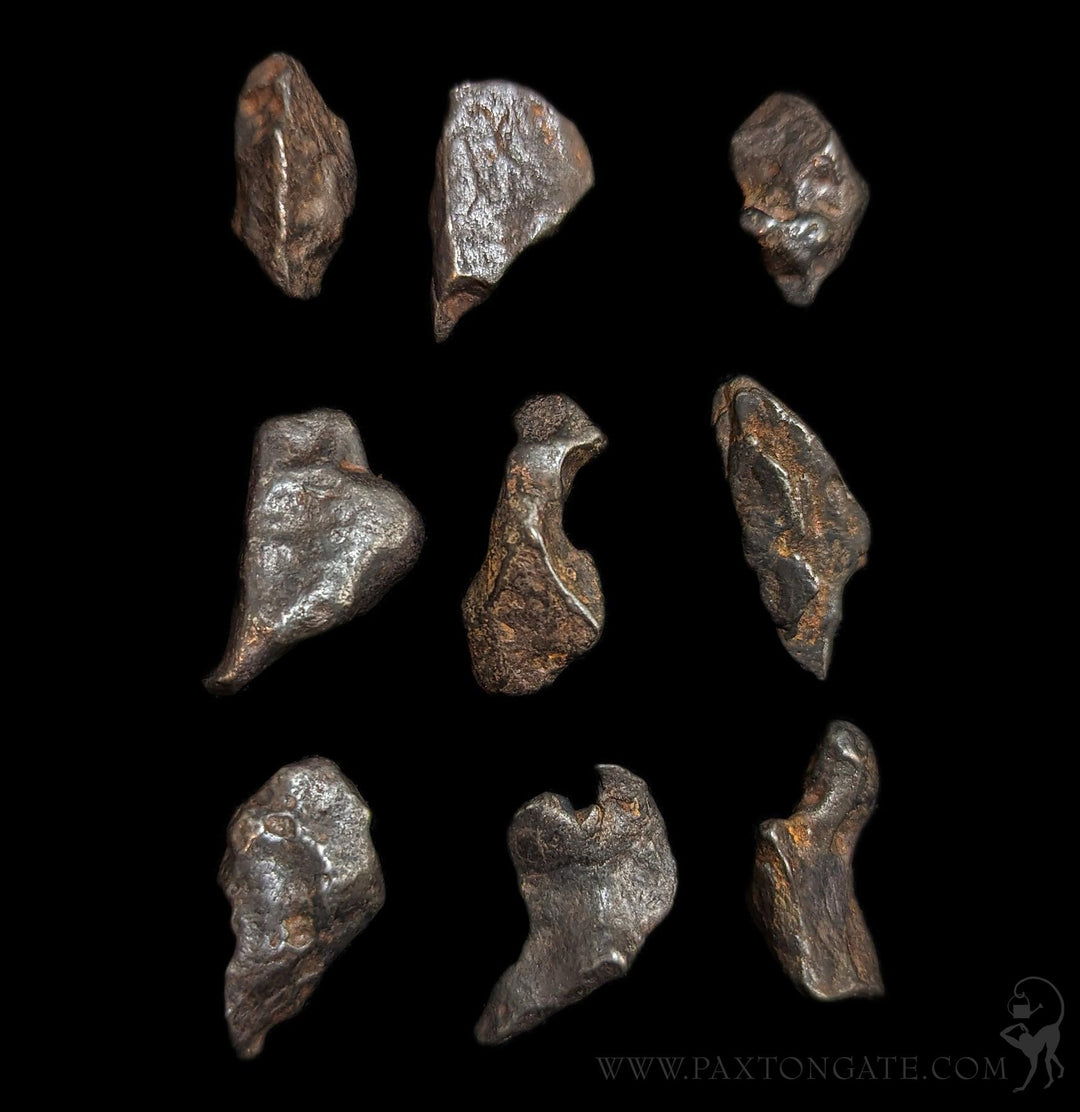 Agoudal Impact Meteorite Fragment For Sale | Paxton Gate