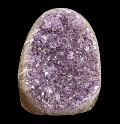 Amethyst Cut Base Geodes-Minerals-Driftstone Pueblo-PaxtonGate