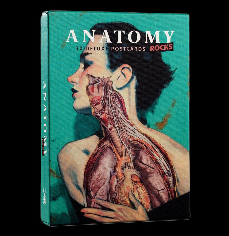 Anatomy Rocks: Postcard Set - Paxton Gate