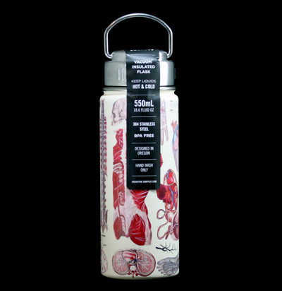 Anatomy Stainless Steel Vacuum Flask - Paxton Gate