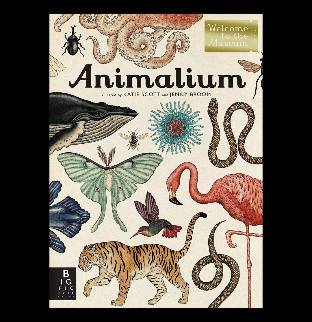 Animalium: Welcome to the Museum For Sale | Paxton Gate