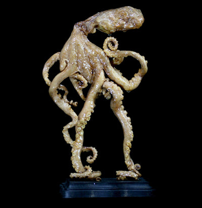 Anthropomorphic Octopus Figure - Paxton Gate