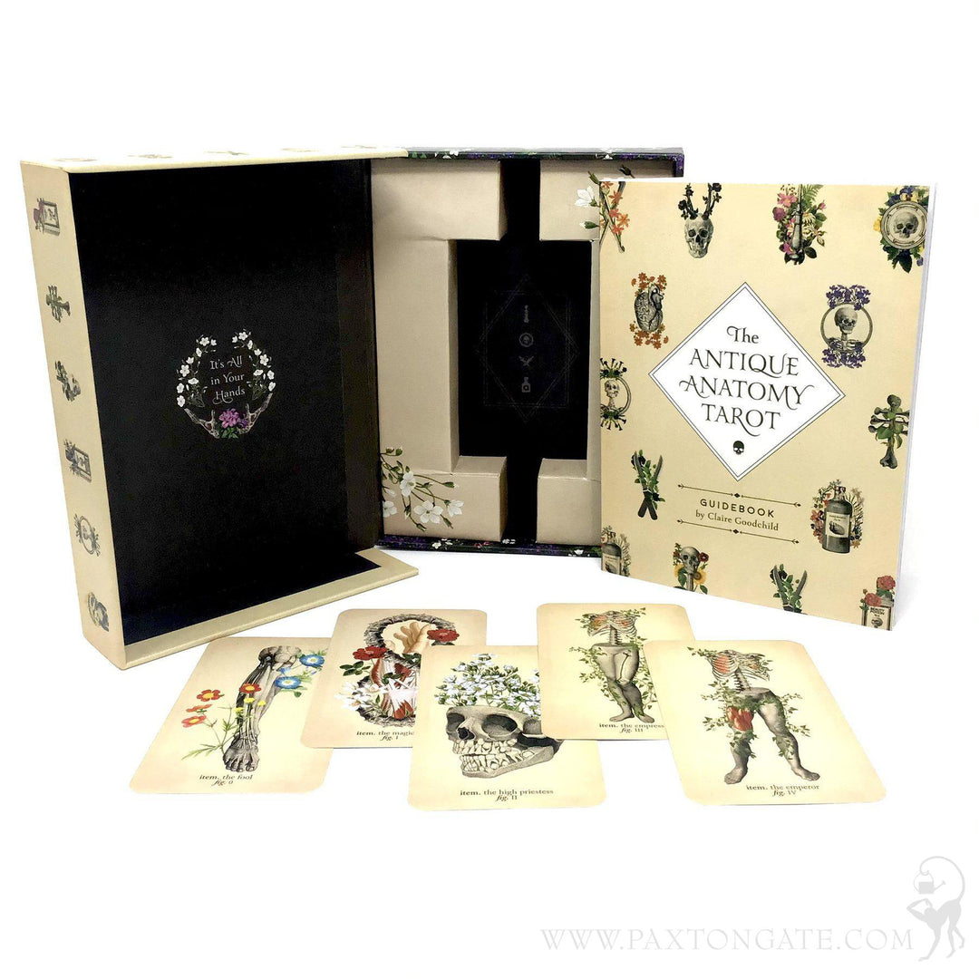 Antique Anatomy Tarot For Sale | Paxton Gate