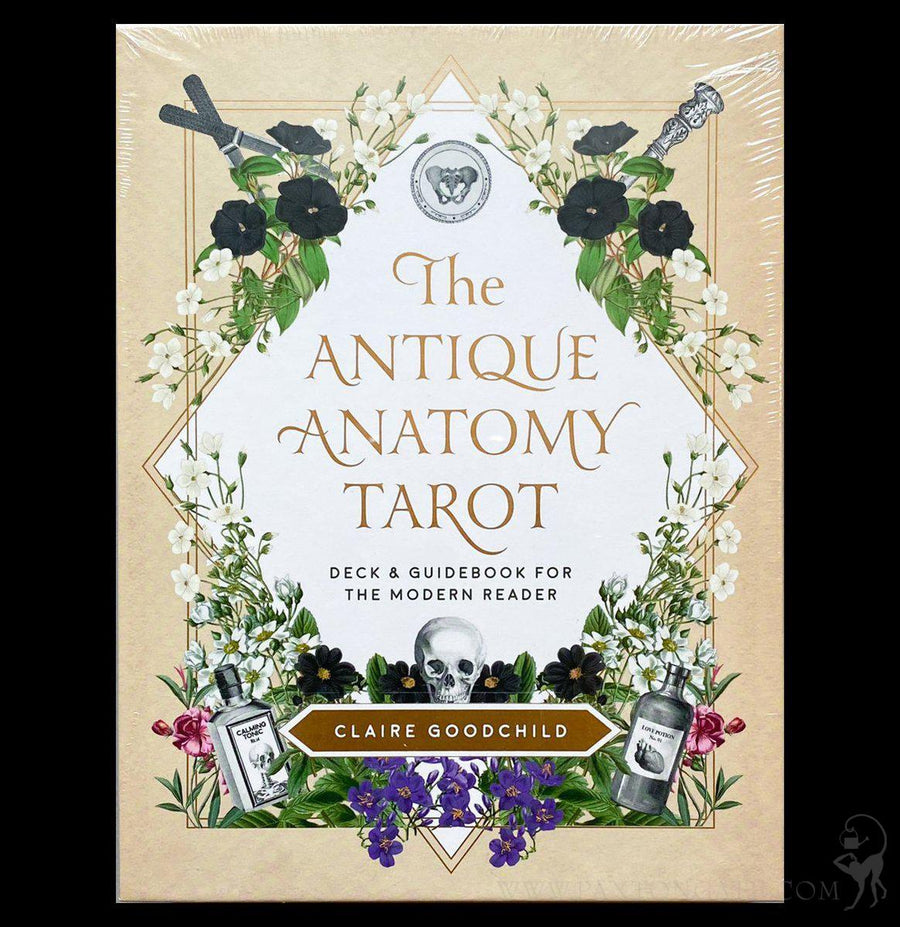 Antique Anatomy Tarot For Sale | Paxton Gate