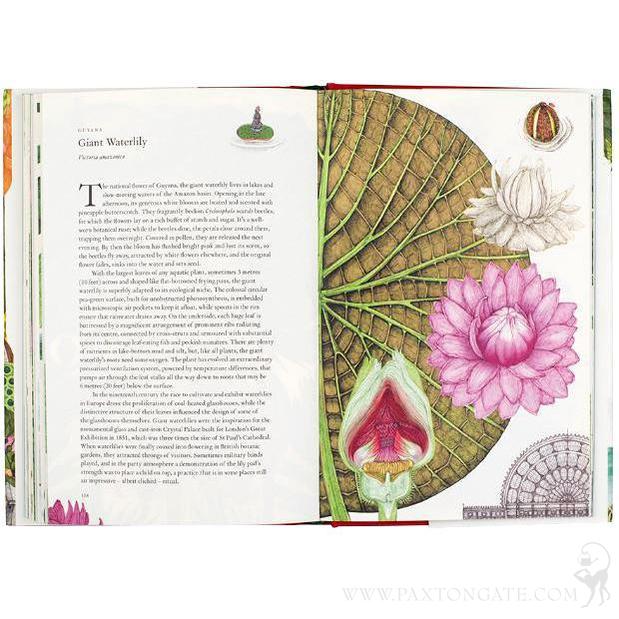 Bilder-Atlas des Pflanzenreichs植物界絵図アトラス Plant Atlas 2020 | Princeton University Press