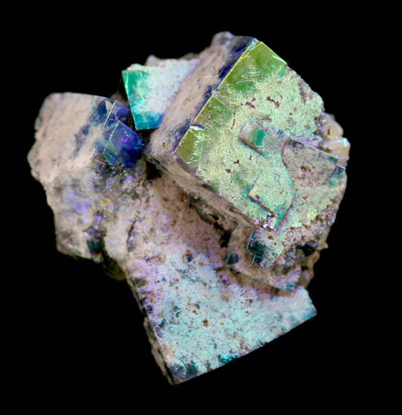 Aura Fluorite Crystal Cluster - Paxton Gate