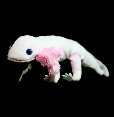 Axolotl Puppet - Paxton Gate