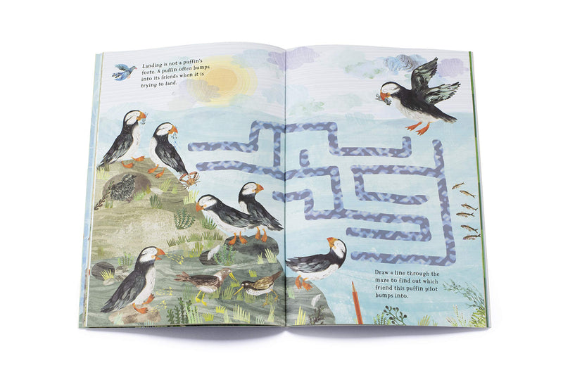Big Sticker Book of Birds - Paxton Gate