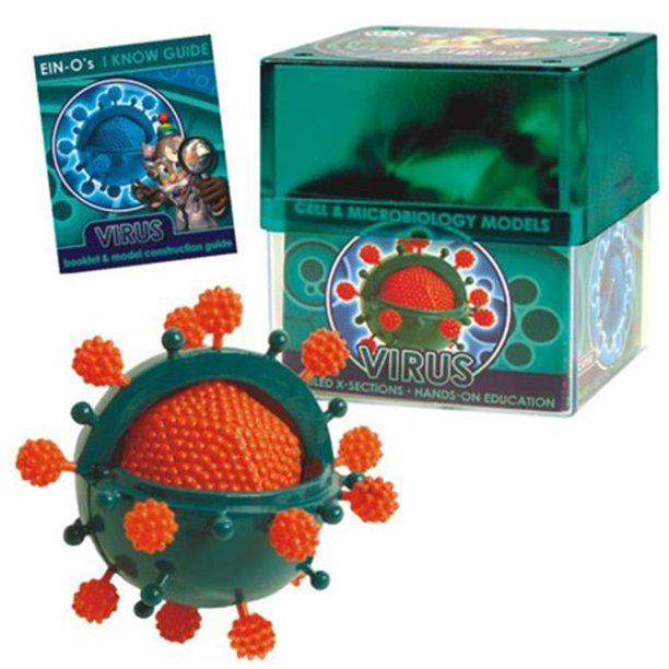 Bio Signs Interactive Virus Model - Paxton Gate