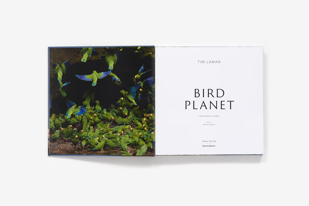 Bird Planet: A Photographic Journey For Sale | Paxton Gate