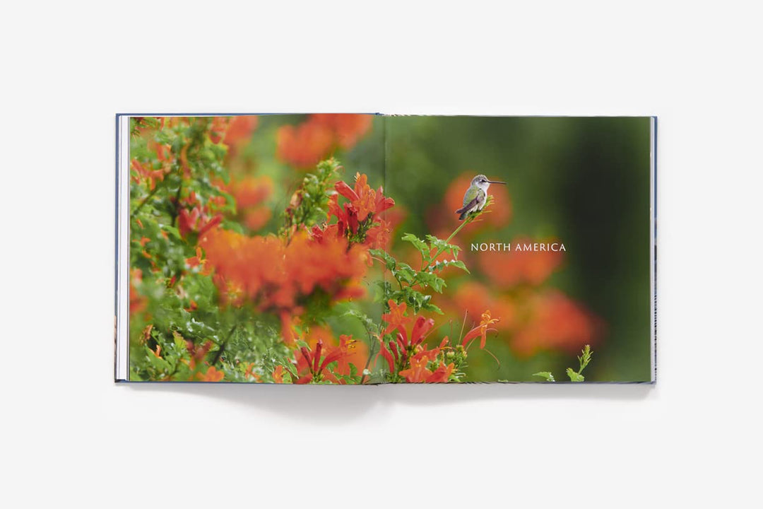 Bird Planet: A Photographic Journey For Sale | Paxton Gate